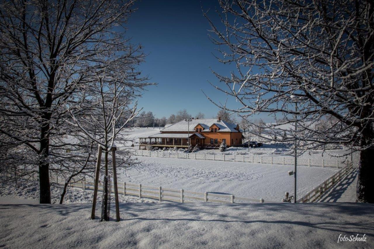 Hotel Horse Riding - Jezdecky Areal Trsice Bagian luar foto