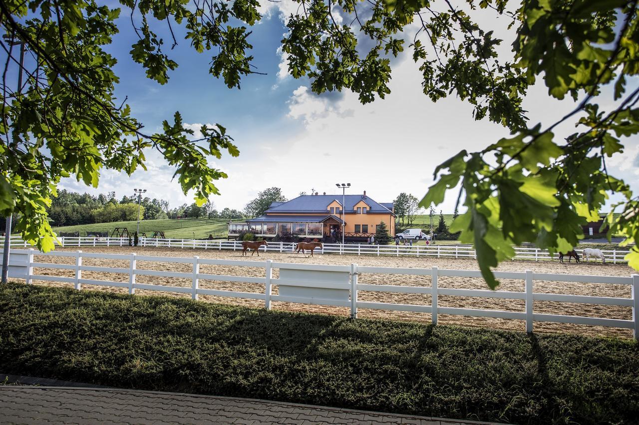 Hotel Horse Riding - Jezdecky Areal Trsice Bagian luar foto