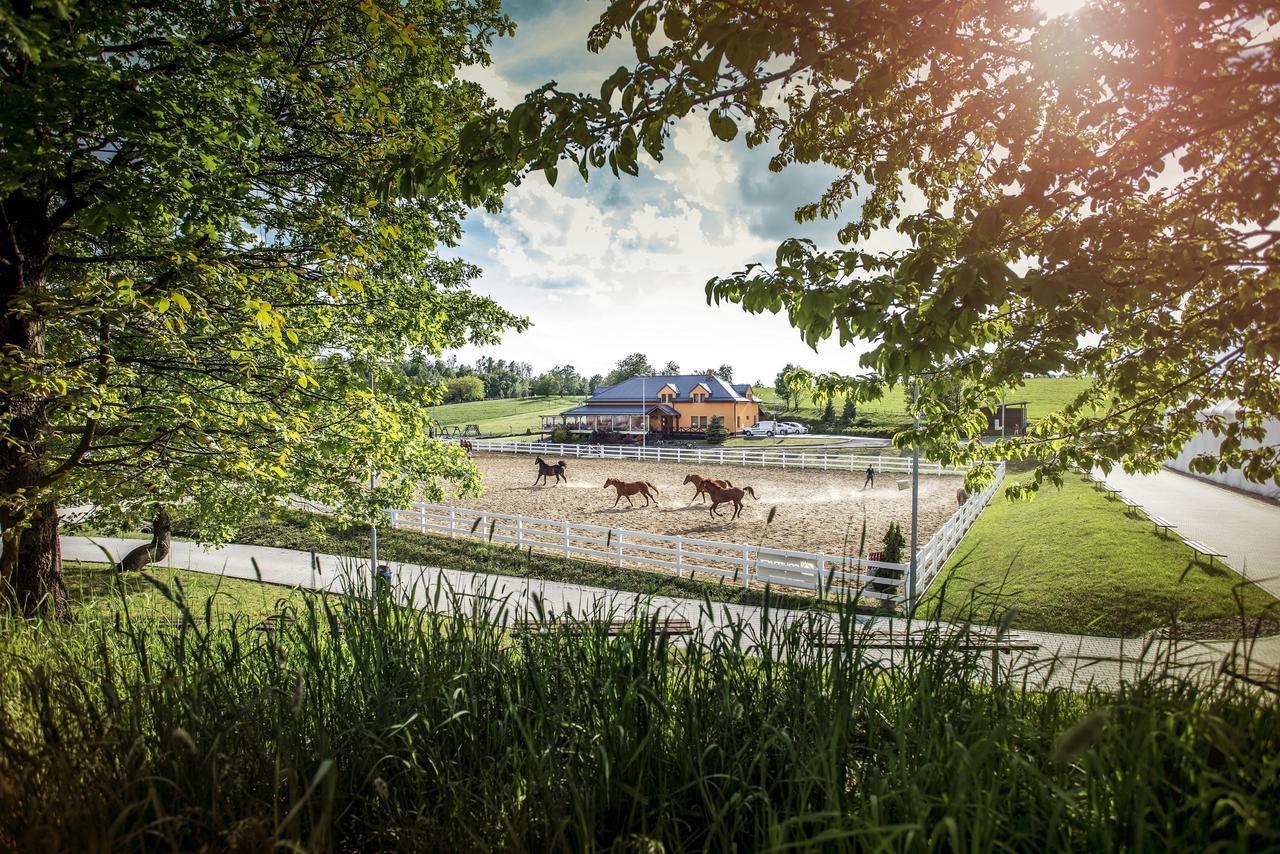 Hotel Horse Riding - Jezdecky Areal Trsice Bagian luar foto