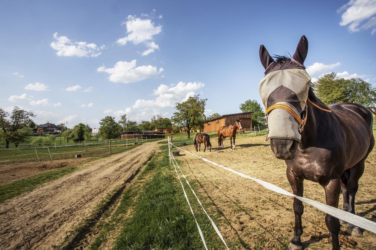 Hotel Horse Riding - Jezdecky Areal Trsice Bagian luar foto