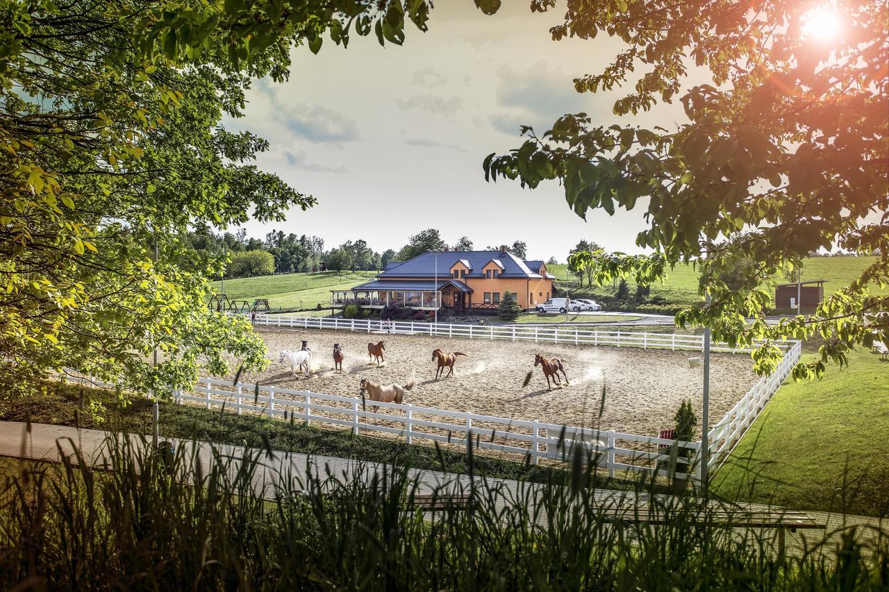 Hotel Horse Riding - Jezdecky Areal Trsice Bagian luar foto