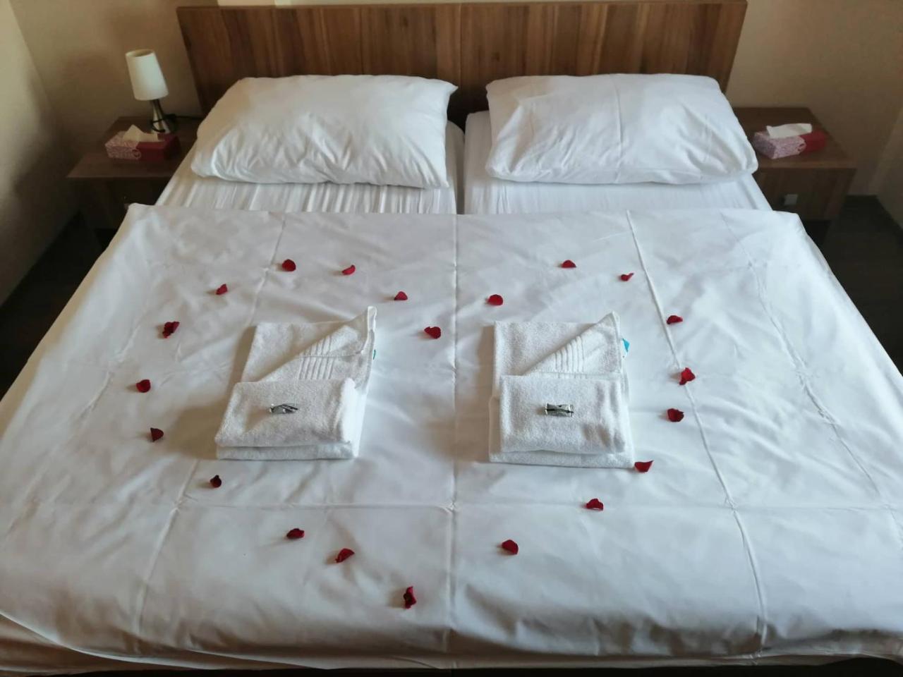 Hotel Horse Riding - Jezdecky Areal Trsice Bagian luar foto